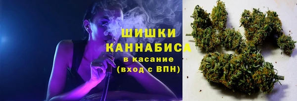 прущий лед Михайлов