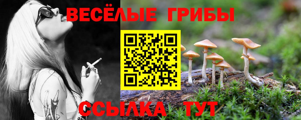 Каменск-Уральский  что такое   Вход с VPN  Псилоцибиновые грибы MAGIC MUSHROOMS 